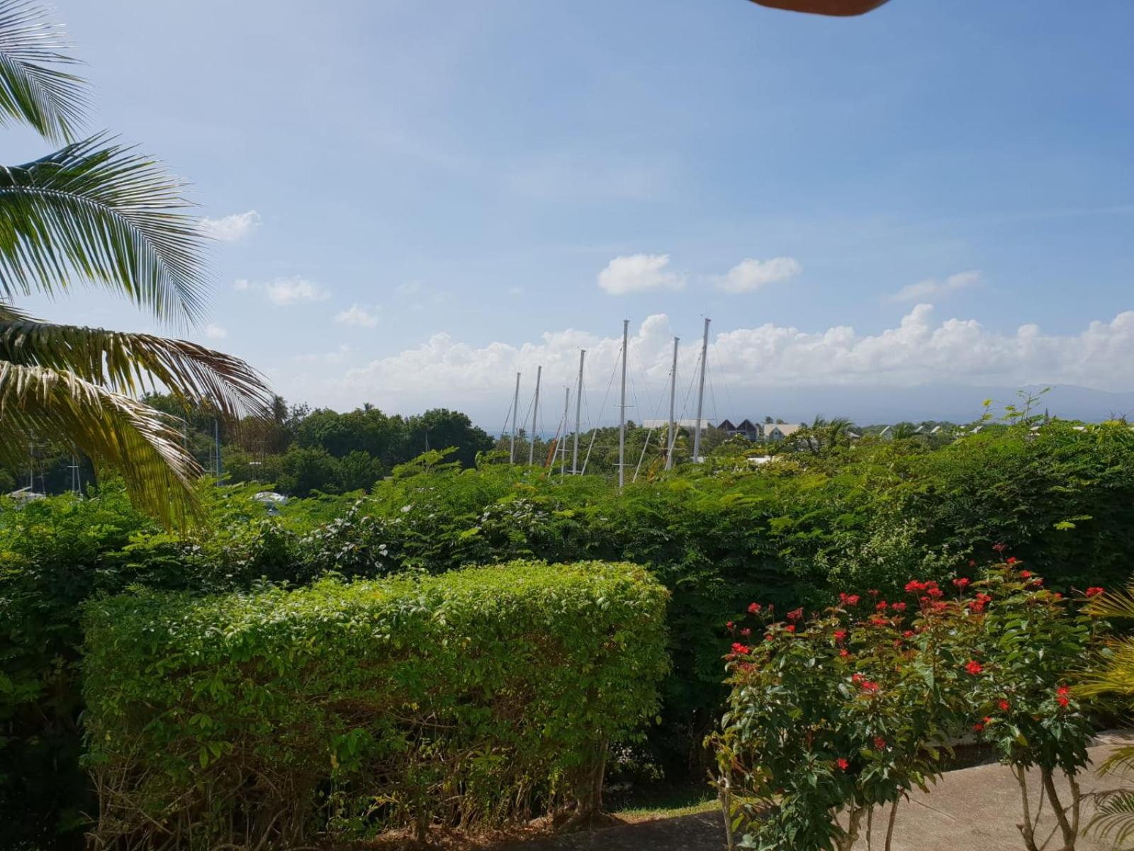 Ravissant Studio Marina Gosier Le Gosier  Buitenkant foto